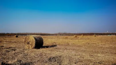 Casino Lucky Pants Bingo Mobiele App